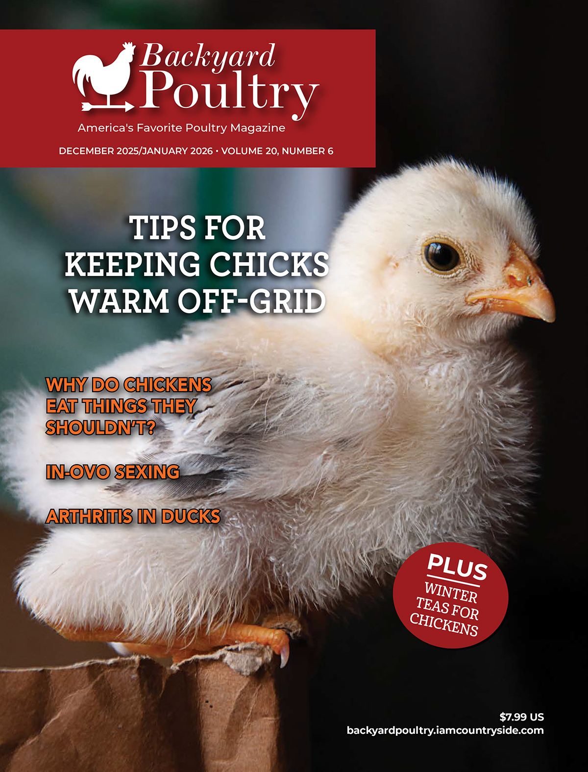 Backyard Poultry — December 2025/January 2026